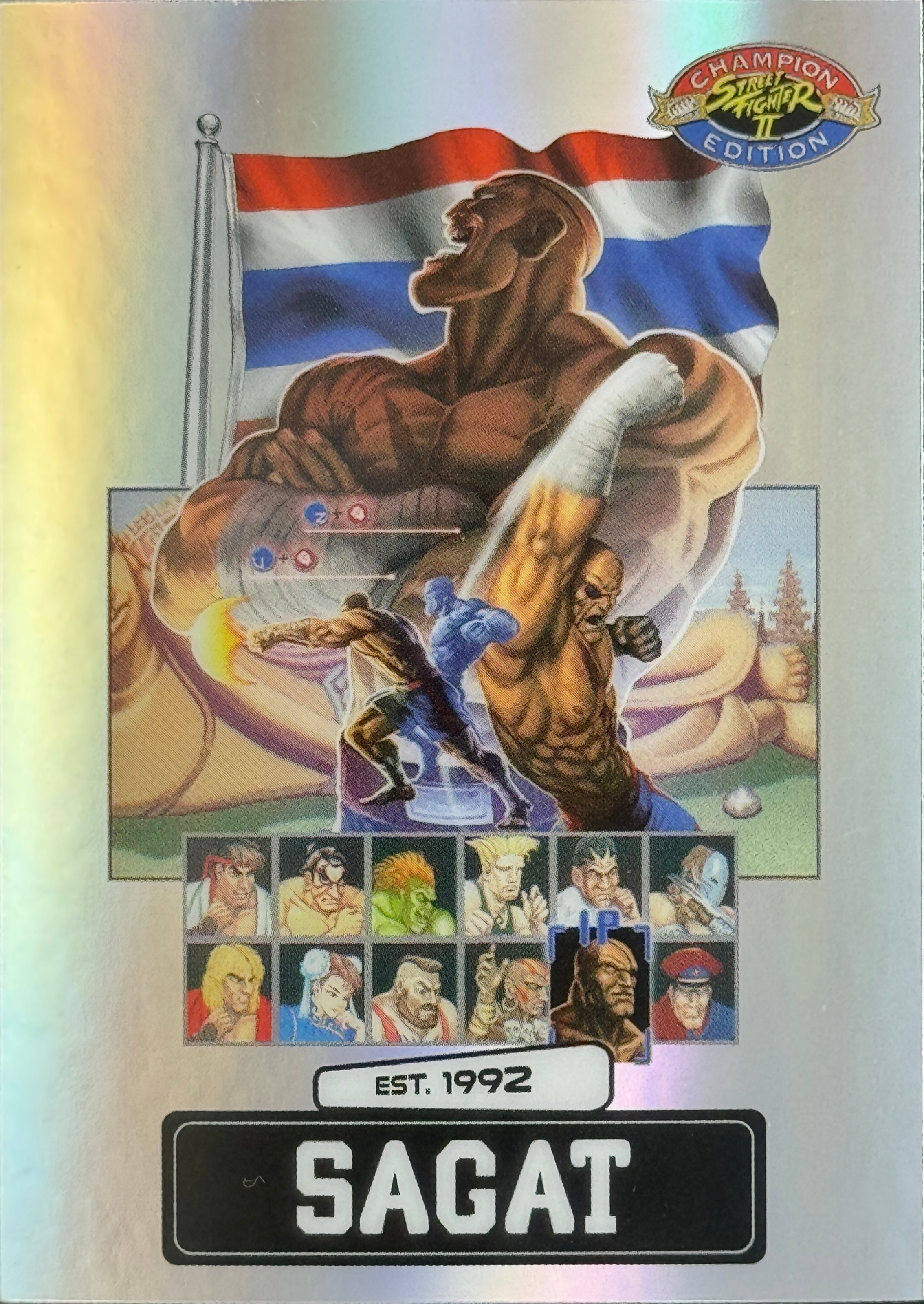 Street Fighter Vol 2. Ryu vs. Sagat – Saturday Morning Cards